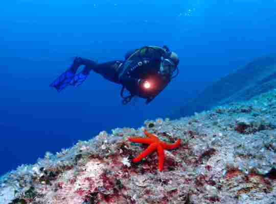 Štacija & SCUBA DIVING